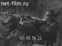 Кадр видео