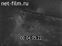 Footage frame