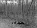 Footage frame