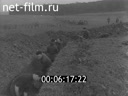 Footage frame