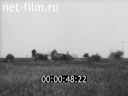 Footage frame