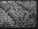 Footage frame
