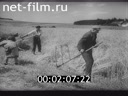 Footage frame