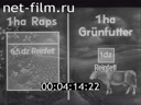 Footage frame