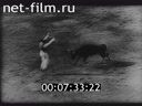Footage frame