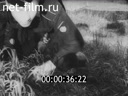 Кадр видео