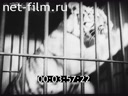 Footage frame