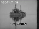 Кадр видео