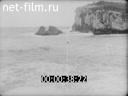 Кадр видео