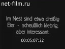 Кадр видео