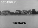 Кадр видео