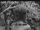 Footage frame