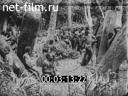 Footage frame