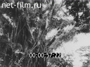 Footage frame