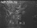 Footage frame