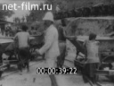 Кадр видео