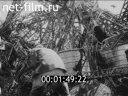 Footage frame