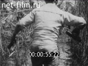 Footage frame