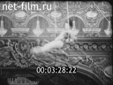 Footage frame