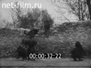 Footage frame