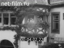 Кадр видео