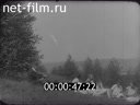 Кадр видео