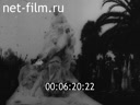Footage frame