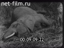 Кадр видео