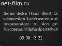 Кадр видео