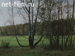 Movie I Seldom See Dreams About Russia. (1991)