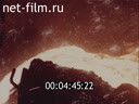 Footage frame