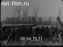 Кадр видео