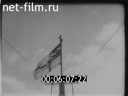Кадр видео