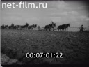 Footage frame