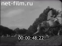 Footage frame
