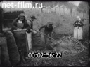 Footage frame