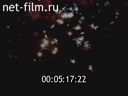 Footage frame