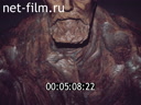 Footage frame