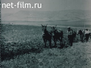 Movie One Of Wandering Stars. (1990)