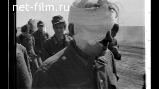 Newsreel Soyuzkinozhurnal №23 (1944)