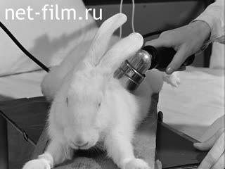 Кинохроника Ультразвук в травматологии. (1973)