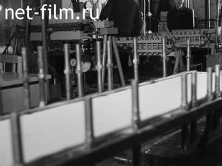 Кинохроника Музей Гашека в г.Бугульме. Приезд чешской делегации в 1966 году. (1966)