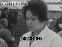 Кадр видео