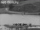 Кадр видео