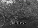 Footage frame