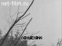 Footage frame