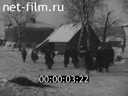 Кадр видео