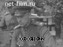 Кадр видео