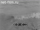 Footage frame