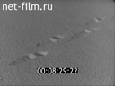 Footage frame